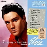 Something For Everybody (FTD) - Vinyl